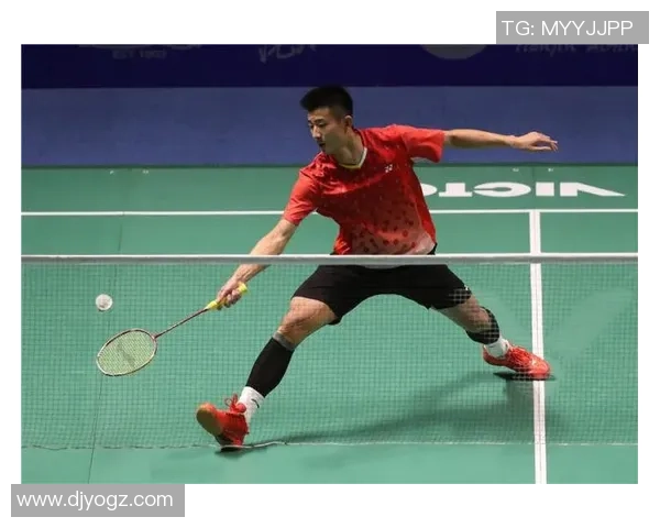 杭州羽毛球队总决赛表现分析意识与战术的完美结合